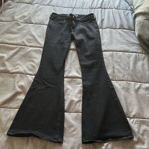 Hollister Pants Low Rise Flare